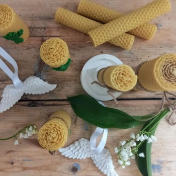 Honey Candle 13 x 2,5