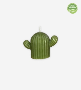 “Cactus” Beeswax Candle