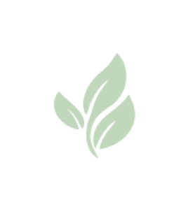 &quot;Mint&quot; Bath Salt